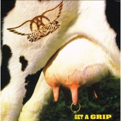 Aerosmith ‎"Get A Grip" (2xLP - 180g)