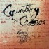 Counting Crows - August And Everything After (2xLP - 180g) Counting Crows - August And Everything After (2xLP - 180g)