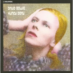 David Bowie - Hunky Dory  (LP - 180g - 2015 Remaster) David Bowie - Hunky Dory  (LP - 180g - 2015 Remaster)