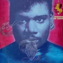 Snap! - Colour Of Love (12")