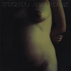 Tindersticks ‎"Simple Pleasure" (CD)