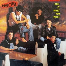 New Kids On The Block - Call It What You Want  (12") New Kids On The Block - Call It What You Want  (12")
