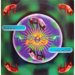 Big Pig - Low Wear  (12")