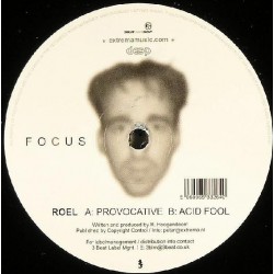 Roel H ‎"Provocative / Acid Fool" (12")