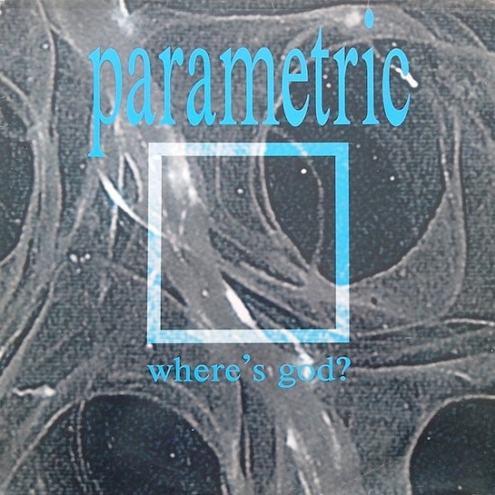 Parametric ‎"Where's God?" (12")