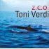 Tony Verdi - Z.C.O.  (12") Tony Verdi - Z.C.O.  (12")