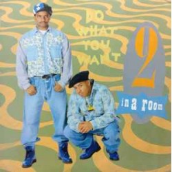 2 In A Room - Do What You Want (12")