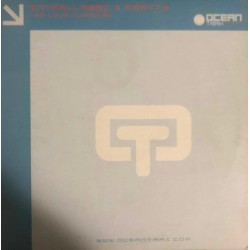 Intrallazzi & Fratty  -  The Love (L'Amour)  (12")
