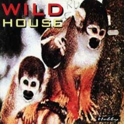 Wild House Feat. DJ Hobby ‎"This Beats Non Stop" (12")
