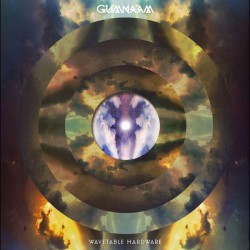 Gumnaam - Wavetable Hardware  (LP)