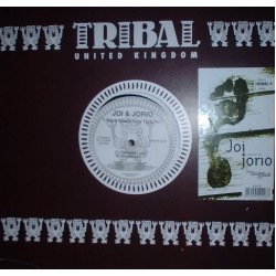 Joi + Jorio - I Won't Waste Your Time '95 (12")