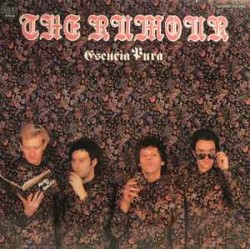 The Rumour - Purity Of Essence  (LP - Promo)