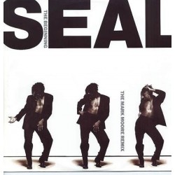 Seal ‎"The Beginning (The Mark Moore Remix)" (12")