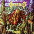 Crematory - Awake  (CD)