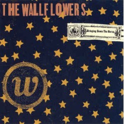 The Wallflowers ‎"Bringing Down The Horse" (CD) 