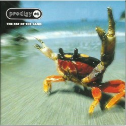 Prodigy - The Fat Of The Land  (CD)
