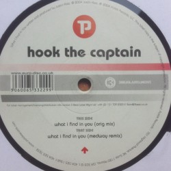 Hook The Captain - What I Find In You (12")