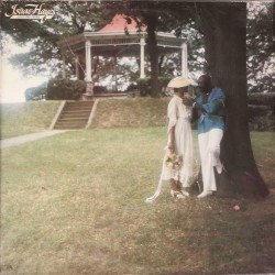 Isaac Hayes - Lifetime Thing (LP) 