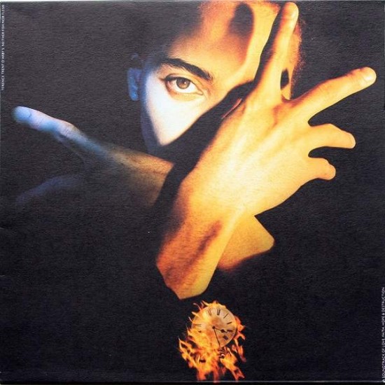 Terence Trent D'Arby ‎"Terence Trent D'Arby's Neither Fish Nor Flesh: A Soundtrack Of Love, Faith, Hope, And Destruction" (LP)