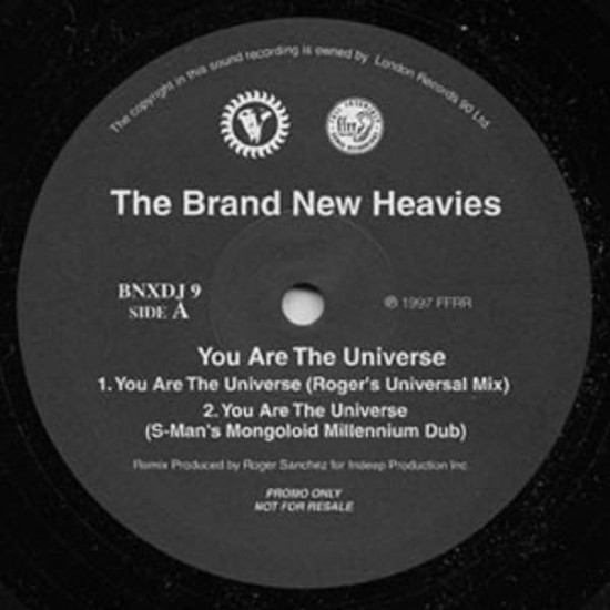 The Brand New Heavies ‎"You Are The Universe" (12")