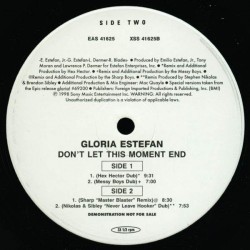 Gloria Estefan ‎"Don't Let This Moment End" (12")