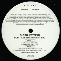 Gloria Estefan - Don't Let This Moment End (12") 