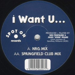 Itchy + Scratchy - I Want U... (12")*   Itchy + Scratchy - I Want U... (12")*