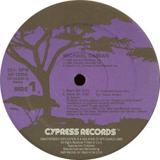 Michael Damian ‎"Rock On (Dance Re-mix)" (12")