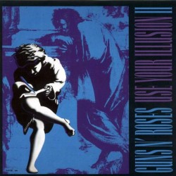 Guns N Roses - Use Your Illusion II (2xLP - 180g - Gatefold - Remastered)