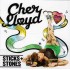 Cher Lloyd - Sticks + Stones (CD)  Cher Lloyd - Sticks + Stones (CD)