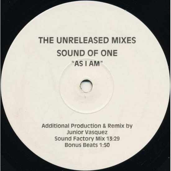 Sound Of One "As I Am The Unreleased Mixes" (12")