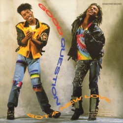 Good Question - Got A New Love (12") 
