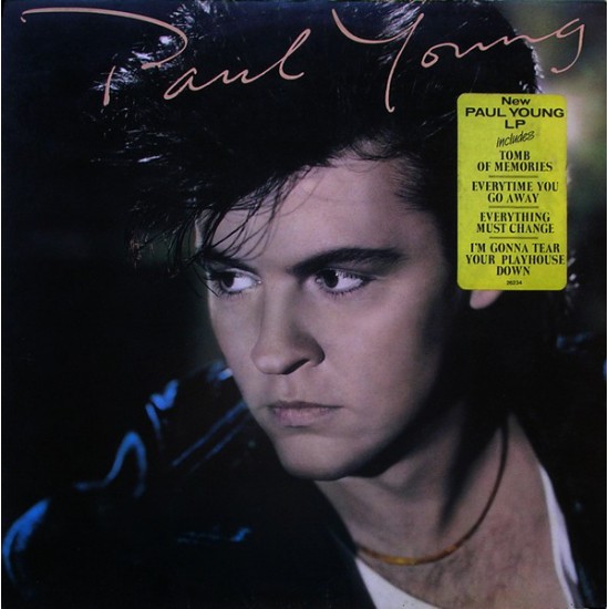 Paul Young ‎"The Secret Of Association" (LP) 