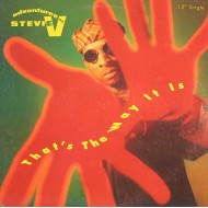 Adventures Of Stevie V. - That's The Way It Is (12") 