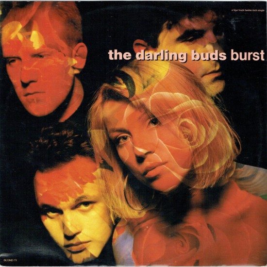 The Darling Buds ‎"Burst" (12") 