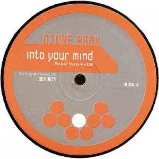 Ozone Park ‎"Into Your Mind / D Journey" (12")