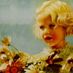 Piano Magic - Speed The Road, Rush The Lights (CD)  Piano Magic - Speed The Road, Rush The Lights (CD)