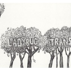 The Ladybug Transistor- Here Comes The Rain EP (CD) 