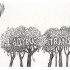 The Ladybug Transistor- Here Comes The Rain EP (CD)  The Ladybug Transistor- Here Comes The Rain EP (CD)