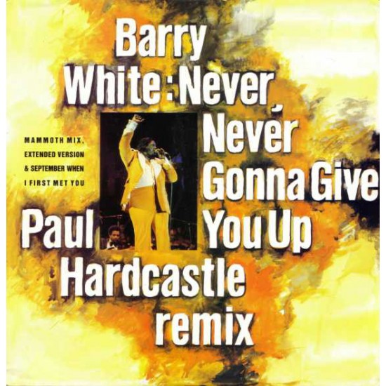 Barry White "Never, Never Gonna Give You Up (Paul Hardcastle Remix)" (12") 