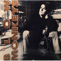 The Blow Monkeys - Some Kind Of Wonderful (12") 