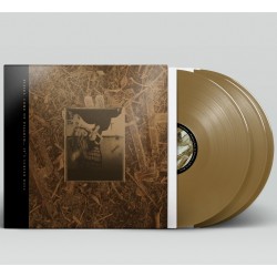 Pixies - Come On Pilgrim - It's Surfer Rosa (3xLP - 30th Anniversary Edition - Gold)