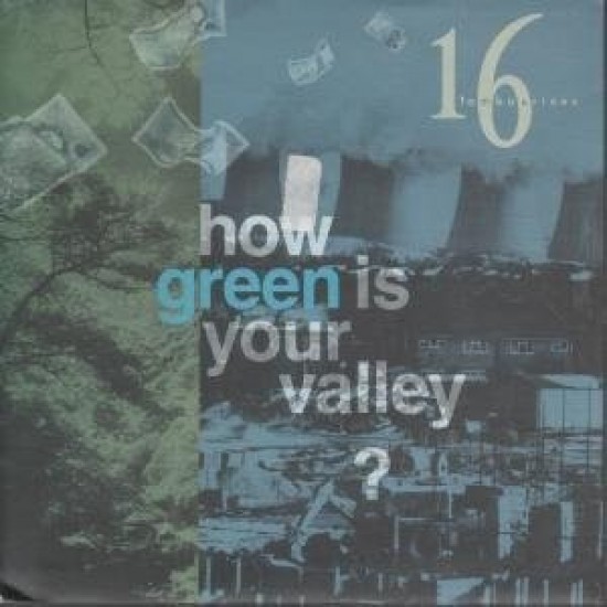 16 Tambourines ‎- How Green Is Your Valley ? (12")
