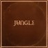 Jungle - Sunshine (LP) 