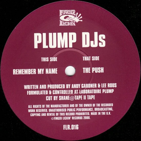 Plump DJs ‎- The Push / Remember My Name (12")