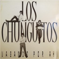 Los Chunguitos ‎- Vagando Por Ahí (LP)