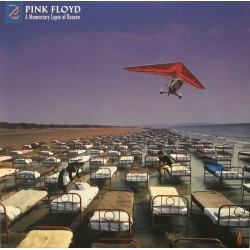 Pink Floyd - A Momentary Lapse Of Reason (Remixed & Updated) (2xLP - 180g) Pink Floyd - A Momentary Lapse Of Reason (Remixed & Updated) (2xLP - 180g)
