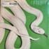 Deftones - Private Music (LP) Deftones - Private Music (LP)