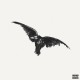 Conan Gray - Kid Krow, Decomposed (5 Year Anniversary) (LP - White Black Splatter) Conan Gray - Kid Krow, Decomposed (5 Year Anniversary) (LP - White Black Splatter)