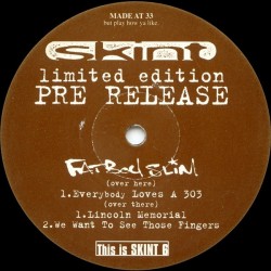 Fatboy Slim - Everybody Loves A 303 (12") Fatboy Slim - Everybody Loves A 303 (12")